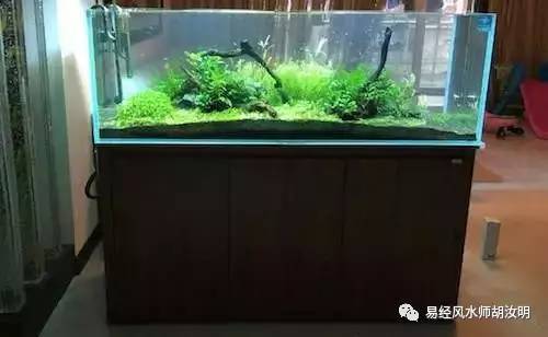 家里鱼缸厨房