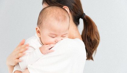 张字的五行属什么