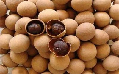 月子可以吃桂圆吗