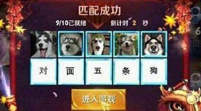 黑色狗叫什么名字好听