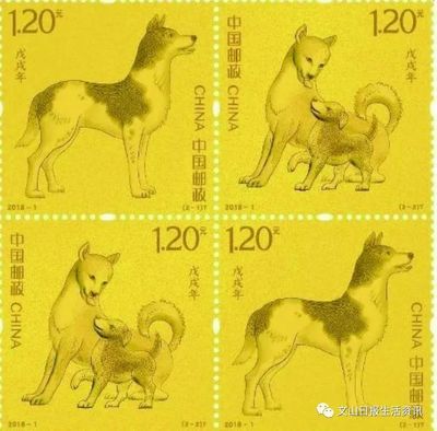 生肖狗的寓意