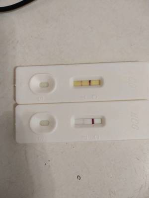 月经前几天是排卵期吗