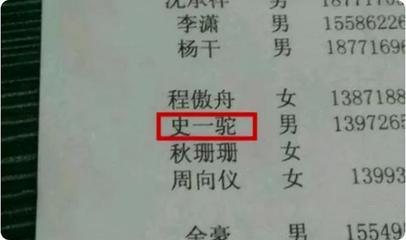 和姓取名