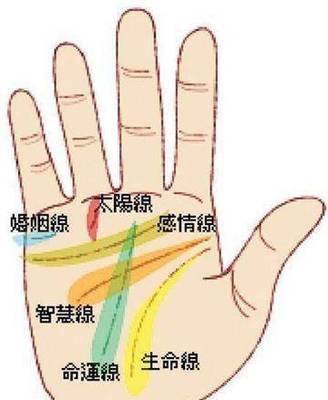 感情线和婚姻线