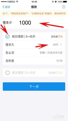 支付宝如何借款