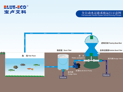 鱼池过滤系统设计图