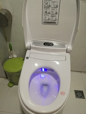 自动清洗马桶