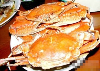 螃蟹名称