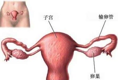 宫腔严重感染怎么办