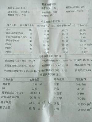 几个月没怀孕正常吗