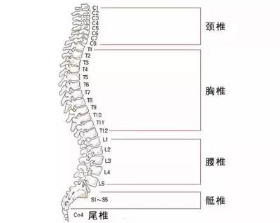 尾椎骨旁边疼是怎么回事