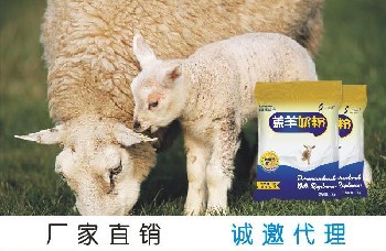 羊羔吃什么奶粉好