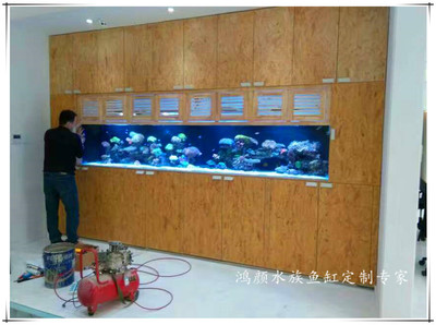 綠園區(qū)大自然花鳥魚商城鴻鳴水族行（綠園區(qū)大自然花鳥市場）