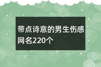 有诗意的伤感网名