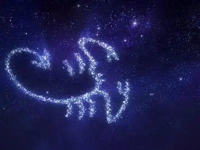 天蝎和什么星座最配