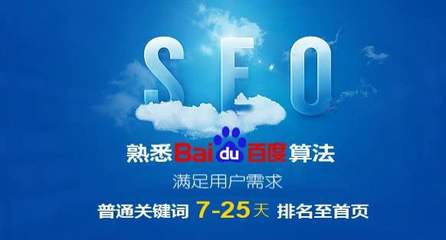 做seo使用快排技术真的好吗?