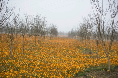合肥长岗