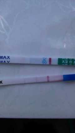 月经两个月