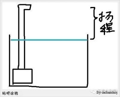 陽泉魚缸售后維護中心