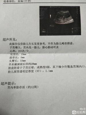 孕几周胎儿才上升腹部
