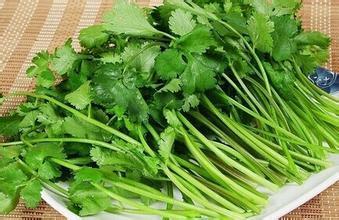 香菜孕妇能吃吗