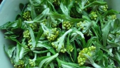 治咳嗽的菜
