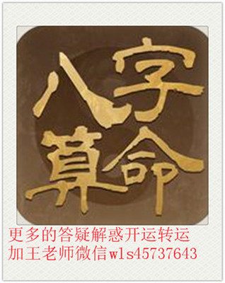 适合从政的八字
