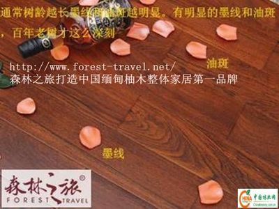 森林之旅柚木地板官网