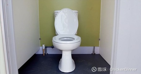 世界上最大的马桶