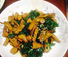 平菇炒鸡肉汤做法大全家常