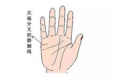 双婚姻线代表什么意思