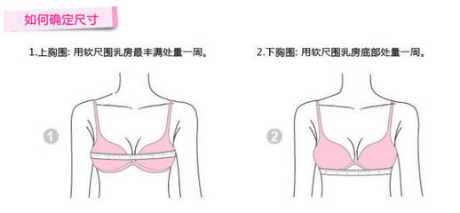内衣74胸围多少