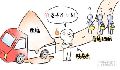 宝宝为什么不能吃糖