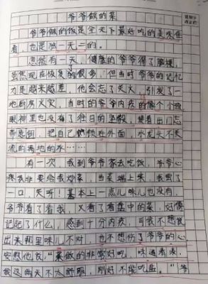 我想对姥姥说450字作文怎么写