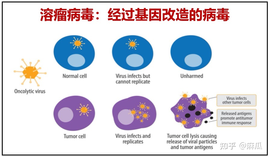 腺病毒怎么治疗效果好