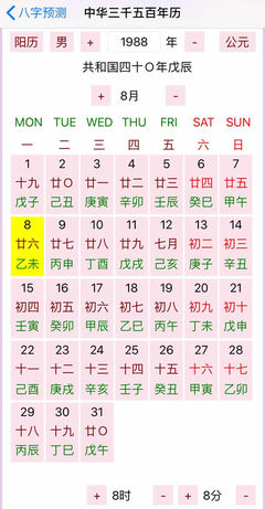 八字 命宫