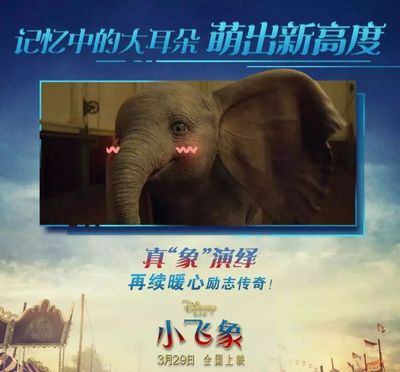 小飞象的感受怎么写