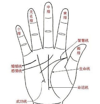 双婚姻线代表什么意思