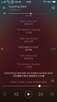 sink into myself翻译