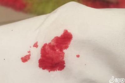 大姨妈前一周会怀孕吗