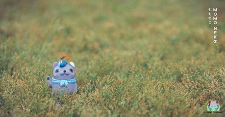 毛毛虫面包怎么制作方法