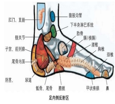 腹股沟淋巴结怎么治疗