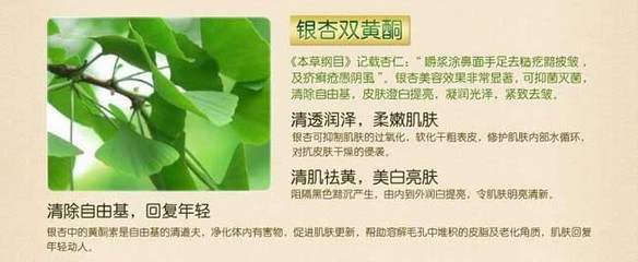 银杏面膜的功效与作用