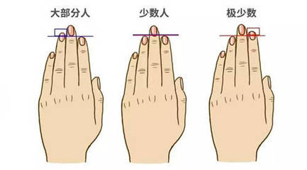 手指看命运指长短