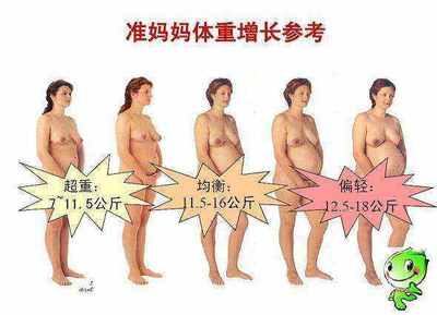 孕六个月体重应该增加多少