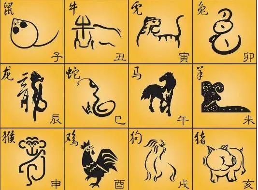 一九零七年属什么生肖
