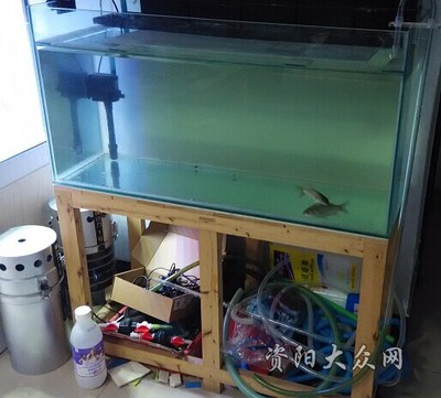 廣州輝煌水族魚缸怎么樣啊多少錢