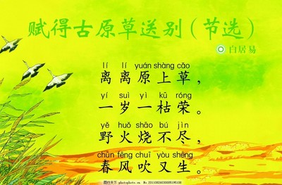 一岁一枯荣拼音