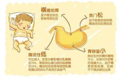 新生儿胃图片