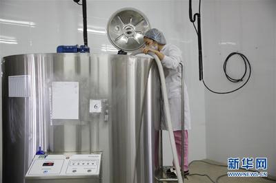 骆驼奶粉的十大功效与作用